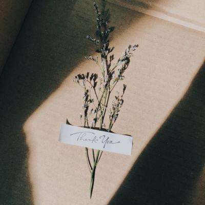 BET9官方APP下载正版手机app下载