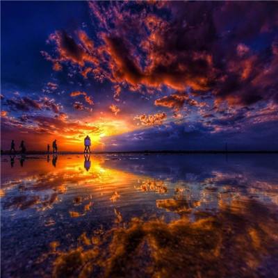 乐鱼游戏app在线登录下载手机版